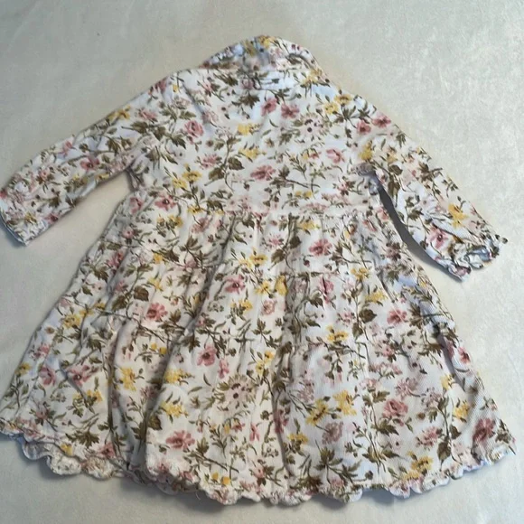 Janie and jack fall dress 3-6 months ! Beautiful flowers printed! - Picture 6 of 6